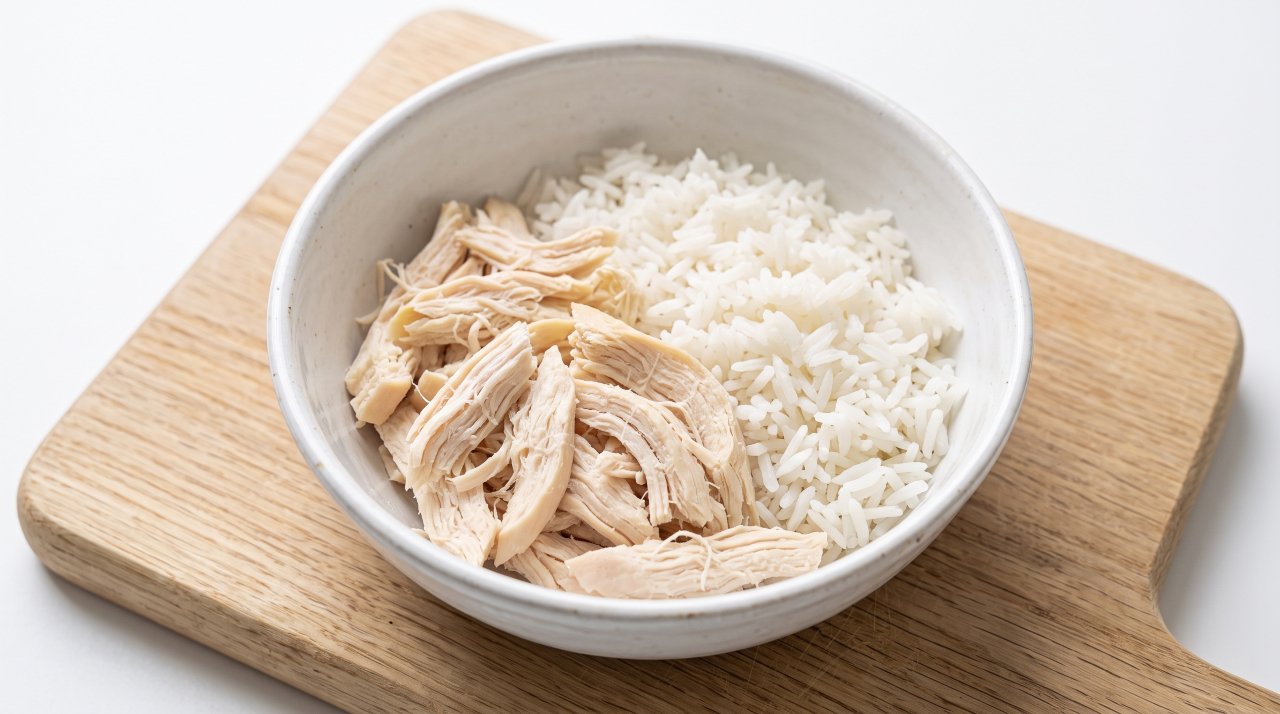 Bowl of plain boiled chicken and white rice prepared for senior dog diet