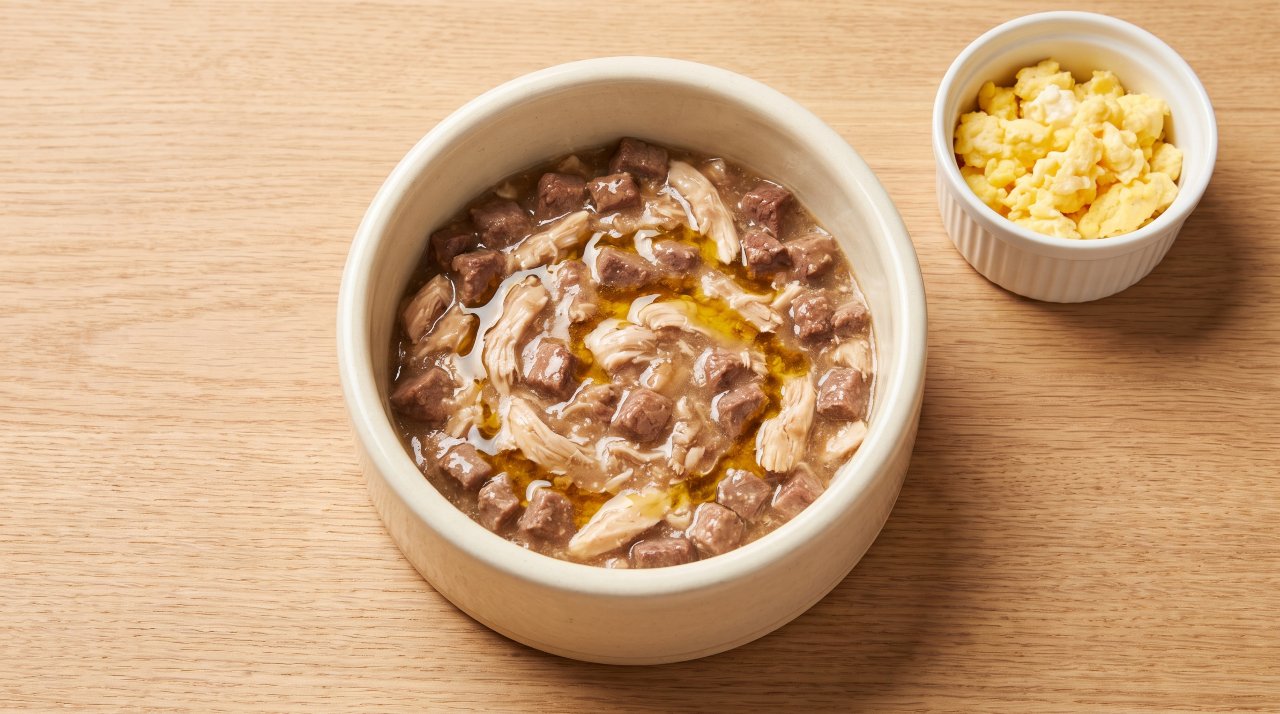 Healthy high-protein wet food meal prepared for underweight senior dog