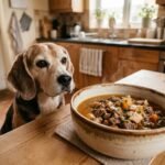 Low Fat Dog Food for Senior Dogs: Vet Guide & Best Options