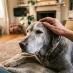 Dog Bad Breath